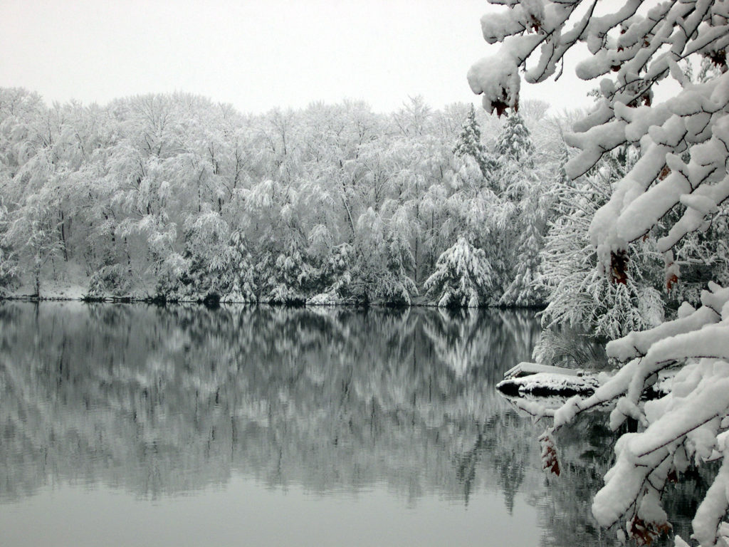 Snow on trees by a mirror lake