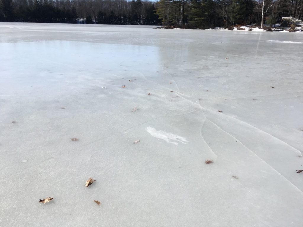 icy lake covered in leaves