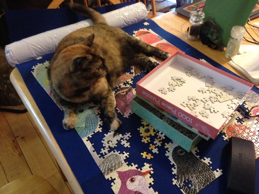 cat disrupting jigsaw puzzle