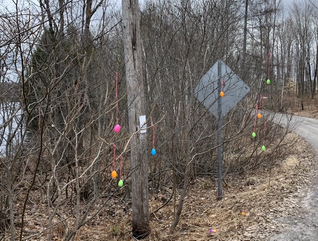 Easter eggs on trees